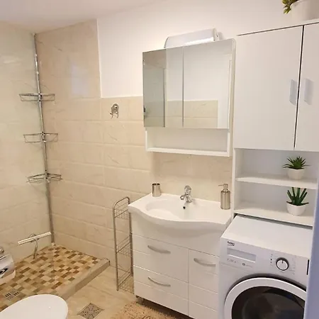 Casa Berzei טימישוארה