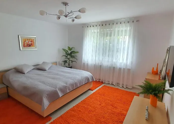 Casa Berzei Timişoara